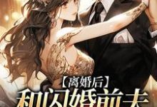 裴书君小说完整版《离婚后，和闪婚前夫再相遇》免费阅读-有书评
