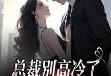 林乔谢之南小说《总裁别高冷了,夫人离家出走了》在线阅读-有书评