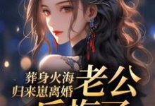 葬身火海归来崽离婚，老公后悔了小说，葬身火海归来崽离婚，老公后悔了在线阅读-有书评