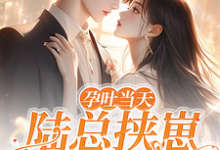 孕吐当天,陆总挟崽逼我结婚完整版小说,孕吐当天,陆总挟崽逼我结婚最新章节-有书评