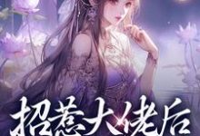 完整版《招惹大佬后，我被缠上了》小说免费阅读-有书评