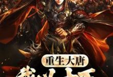 完结版《重生大唐,我以十万铁骑镇边疆》章节阅读-有书评