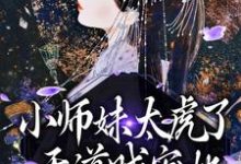 《小师妹太虎了，天道贼宠她》小说章节列表免费试读，天宁小说在线阅读-有书评