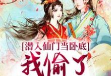潜入仙门当卧底，我偷了谪仙的心小说的免费阅读版本在哪里可以找到？-有书评