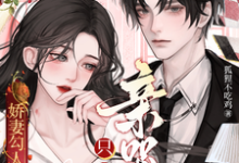 娇妻勾人:离婚个球!只想亲哭她小说最新更新在哪里?免费在线看-有书评