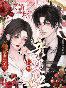 娇妻勾人：离婚个球！只想亲哭她小说最新更新在哪里？免费在线看