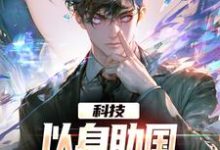 科技：以身助国，打造高级芯片（杨宇科）完整版在线免费阅读-有书评