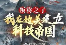 免费看叛将之子？我在边关建立科技帝国小说的网站有哪些？-有书评