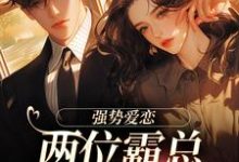 纵意沉沦小说的免费电子版在哪里可以下载或阅读？-有书评
