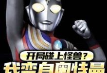 完结版《开局碰上怪兽？我变身奥特曼打趴他》免费阅读-有书评