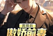 小说《离婚后，傲娇前妻被疯狂打脸》章节免费阅读-有书评