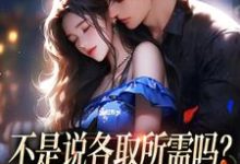 已完结小说《不是说各取所需吗？你咋还要我的爱》在线章节阅读-有书评