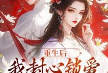 完结版《重生后，我封心锁爱，皇帝请离开》章节阅读-有书评