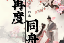 《再度同舟》孙保财钱宝宝完整版小说免费阅读-有书评