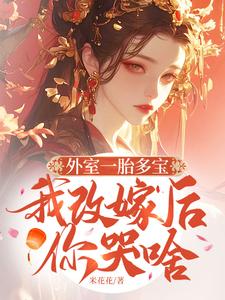 外室一胎多宝，我改嫁后你哭啥小说的无弹窗阅读体验，寻找免费阅读网站