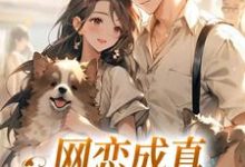 《网恋成真,这小子乐癫了》全集免费在线阅读(苏念初)-有书评