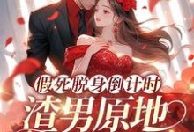在线免费阅读假死脱身倒计时，渣男原地哭成狗完整小说-有书评