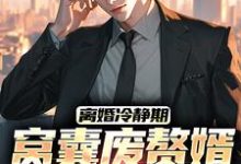 离婚冷静期,窝囊废赘婿黑化了小说最新章节在哪里可以读到?-有书评