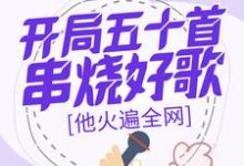 免费在线阅读开局五十首串烧好歌，他火遍全网小说的正规网站有哪些？-有书评