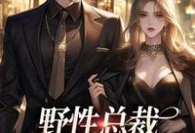 野性总裁穿上娇夫马甲这本小说怎么样？免费在线阅读试试-有书评