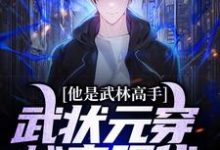 完结版《他是武林高手:武状元穿越来现代》免费阅读-有书评