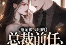 求邂逅被我甩的总裁前任,他又爱了!小说免费资源-有书评