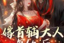 已完结小说《嫁首辅大人复仇后,她被反攻略了》章节在线阅读-有书评