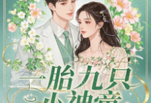 楚聆月小说一胎九只小神童,萧爷的独家宠爱完整版阅读-有书评