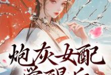 炮灰女配觉醒后:我要宫斗!章节免费在线阅读,顾婉盈完结版-有书评