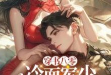 穿书八零：冷面军少夜夜来敲门免费阅读，穿书八零：冷面军少夜夜来敲门章节目录-有书评