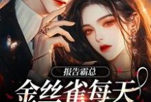报告霸总,金丝雀每天都在装乖巧傅婳裴闻渡小说完结版章节在线阅读-有书评