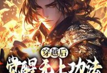 穿越后,觉醒无上功法的我要复仇了小说有没有完整的免费版本在线阅读?-有书评