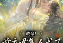 《爱你太苦，这辈子打死我都不嫁了》全集免费在线阅读（姜宛谢千砚）-有书评