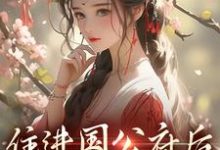 沈青梨魏缜小说《住进国公府后，我成了香饽饽！》完整版免费阅读-有书评