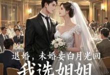 退婚,未婚妻白月光回,我选姐姐小说的无弹窗阅读体验,寻找免费阅读网站-有书评
