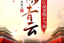 王晨完整版《平步青云，我让前妻悔不当初》小说免费阅读-有书评