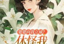 《婆婆向我立威？休怪我一拳让你老实》小说大结局免费试读 姜婉小说-有书评