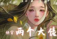 快穿两个大佬别关了不逃了免费阅读，快穿两个大佬别关了不逃了章节在线阅读-有书评