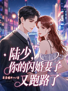 求陆少，你的闪婚妻子又跑路了小说免费资源