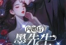闪离后:墨先生别来无恙小说,闪离后:墨先生别来无恙在线阅读-有书评