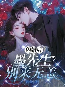 闪离后：墨先生别来无恙小说，闪离后：墨先生别来无恙在线阅读