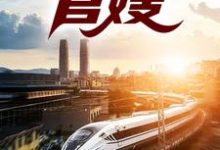 在线免费阅读官嫂完整小说-有书评