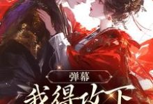 小说完整版《弹幕：我得攻下圣女才能走？》免费阅读-有书评