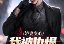 小说《娇妻变心，我被仇恨占据了全身》章节免费阅读-有书评
