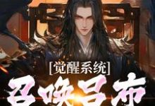 寻找能够免费阅读觉醒系统：召唤吕布给我杀小说的平台-有书评