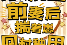 唐雪媚小说穿成男主前妻后，揣着崽回村种田章节免费阅读-有书评