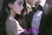 《一觉醒来，付少的白月光塌房了》小说施瑾付砚辞章节章节免费在线阅读-有书评
