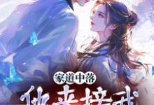 小说《家道中落，他来接我当主母？》在线章节阅读-有书评
