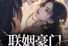 沈心姿陆仲廷小说叫什么(联姻豪门继承人后,我逃婚了!完整版免费阅读)-有书评