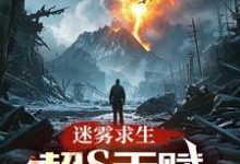 叶寒小说叫什么（迷雾求生：超S天赋，点化万物！完整版免费阅读）-有书评